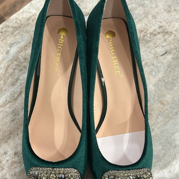 Big Tree Women’s Velvet Pointy Toe Kitten heel Dressy Shoes W/ Jewel Tops Sz 38 - Picture 4 of 14